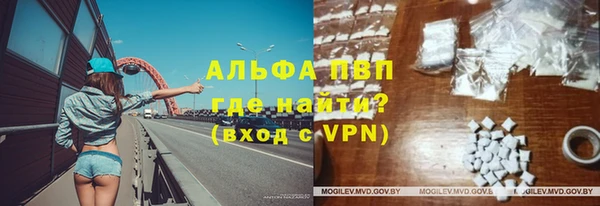 spice Бородино
