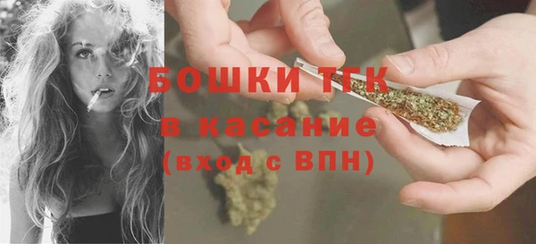 spice Бородино