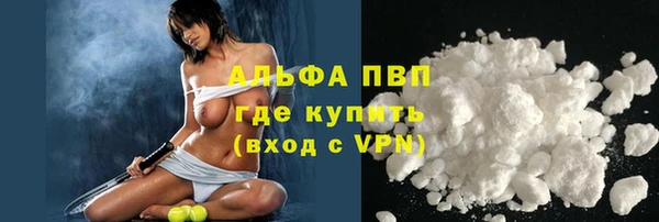 spice Бородино