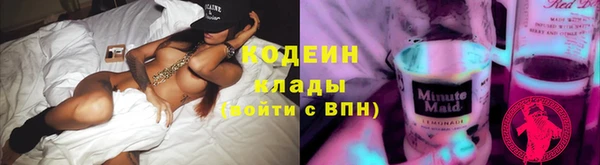 spice Бородино