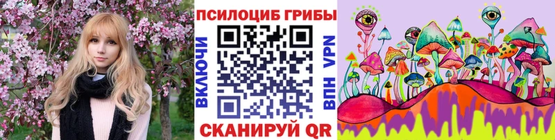 shop какой сайт  Медногорск  Галлюциногенные грибы Magic Shrooms  KRAKEN как зайти 